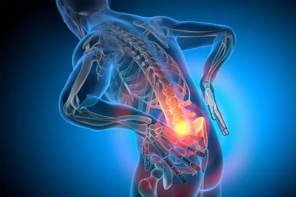 Back Pain: How to Maintain a Healthy Back on the Road - Truck Driver News Ten tips to maintaining a healthy back & preventing back pain for truckers. Proper seat setup, body mechanics, exercise, etc., can produce a pain-free journey.