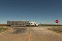 Texas has resumed Non-Domiciled CDL issuance for H-2A workers after FMCSA approval. H-2B and E-2 applicants remain pending further action.