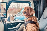 Pet Safety takes focus as Volvo Trucks and the Center for Pet Safety share tips on restraints, weather, rest stops and emergencies for truck drivers with pets.