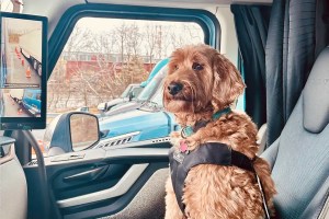 Pet Safety takes focus as Volvo Trucks and the Center for Pet Safety share tips on restraints, weather, rest stops and emergencies for truck drivers with pets.
